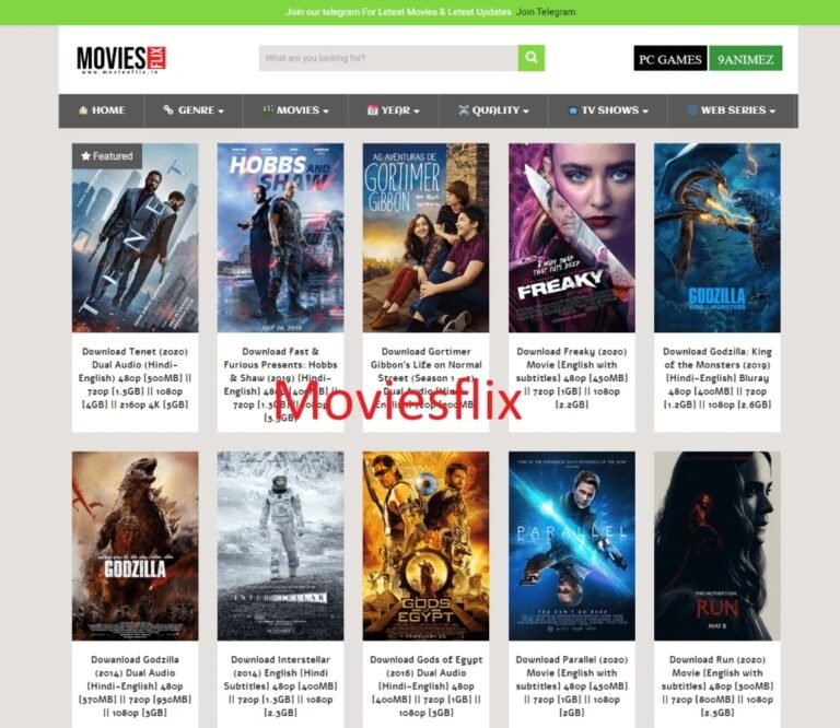 What is Moviesflix