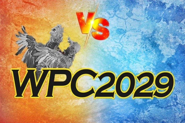 What is WPC2029?